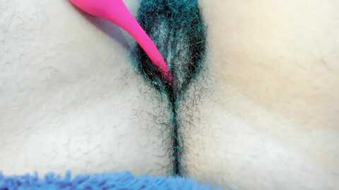 dalila2arab @ myfreecams on 20231202