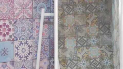 foreverchic @ myfreecams on 20231202