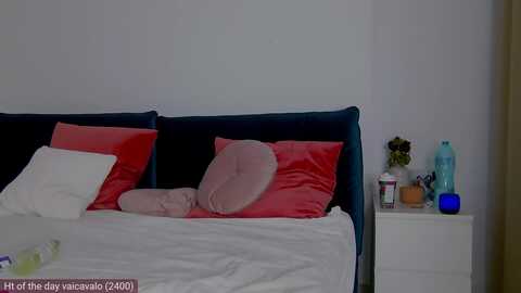 naiasummer @ myfreecams on 20231202