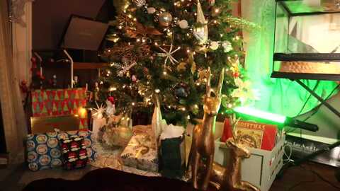 cubbixoxo @ myfreecams on 20231203