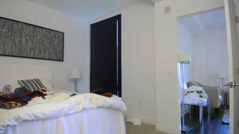 foxydame @ myfreecams on 20231203