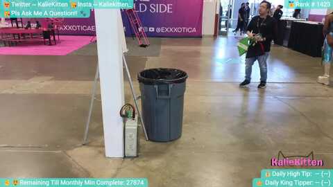 kaliekitten @ myfreecams on 20231203