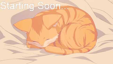 kitty @ myfreecams on 20231204