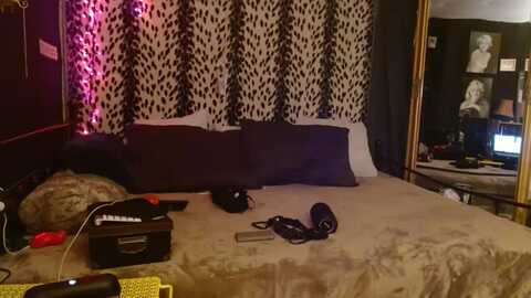 littlemisszee @ myfreecams on 20231204