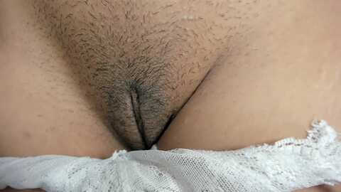 megansan @ myfreecams on 20231204