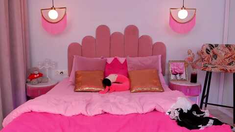 afinashy @ myfreecams on 20231205
