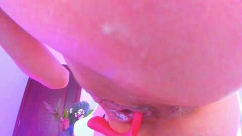 alyssa_smit @ myfreecams on 20231207