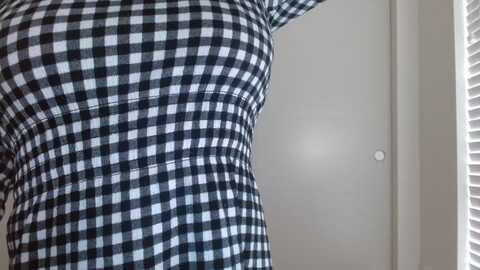 badlibrarian @ myfreecams on 20231207