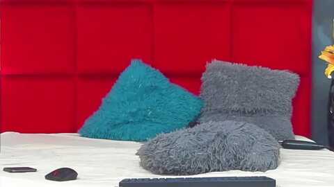 irisbella @ myfreecams on 20231207