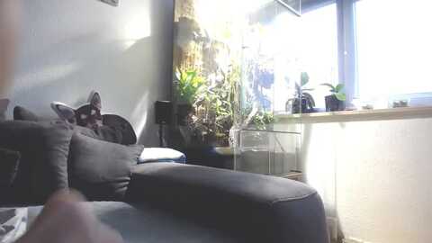 miamaxxx