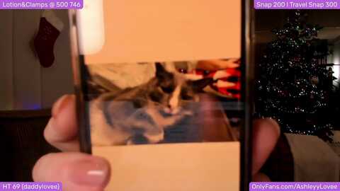 ashleylove @ myfreecams on 20231208