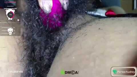 audreypa @ myfreecams on 20231208