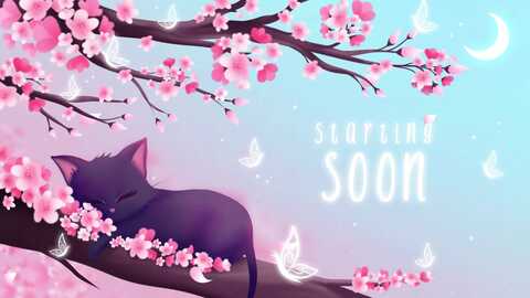 lexikitty_ @ myfreecams on 20231209