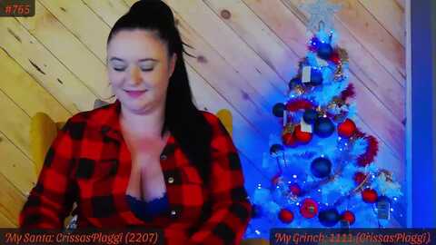 sensualcrissa @ myfreecams on 20231209