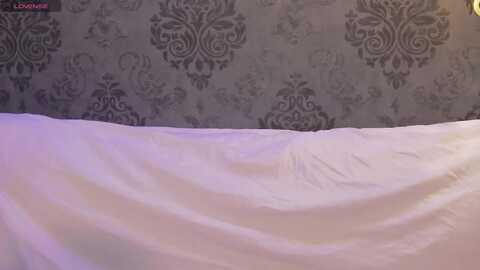 kaida_ice @ myfreecams on 20231210