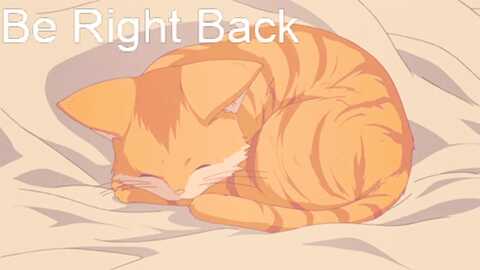 kitty @ myfreecams on 20231210