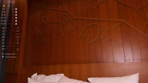 nura_vura @ myfreecams on 20231210