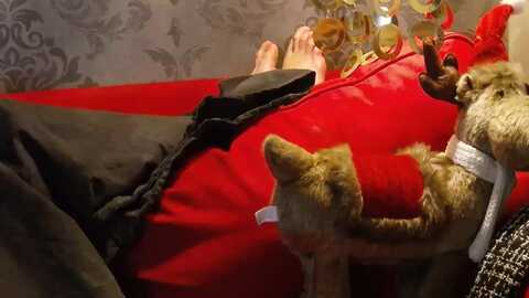 jasminea @ myfreecams on 20231211