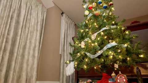 ms_wetnwild @ myfreecams on 20231211