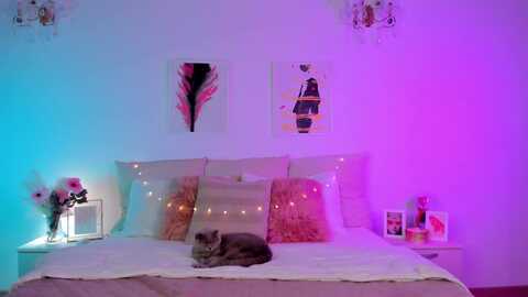 im_mystery_ @ myfreecams on 20231212