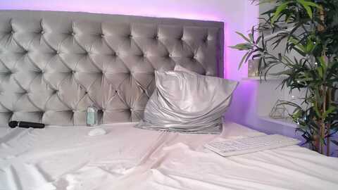 alma_whiteee @ myfreecams on 20231213