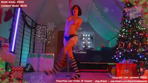 braisleeadams @ myfreecams on 20231213