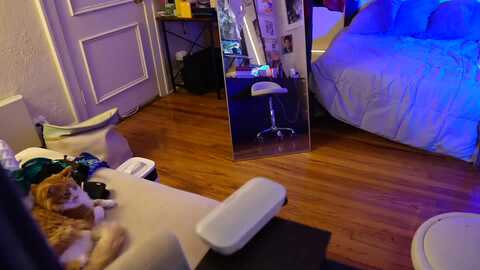gia_xxxmas @ myfreecams on 20231213