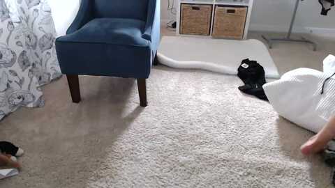 sarah_stark @ myfreecams on 20231213