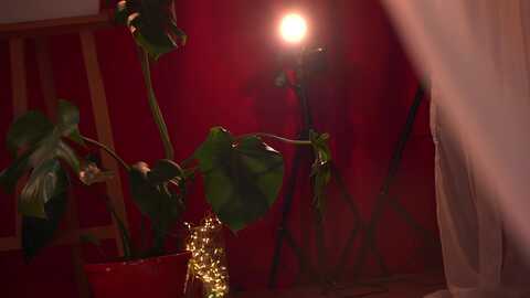 artlene @ myfreecams on 20231214