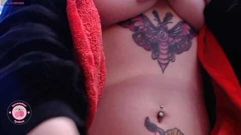 lycheebee @ myfreecams on 20231214