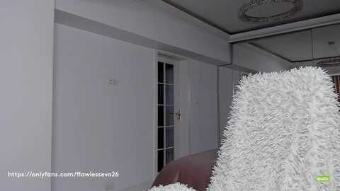 meow_s @ myfreecams on 20231215