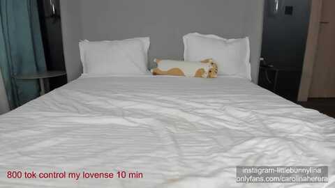 carolinaherer @ myfreecams on 20231216