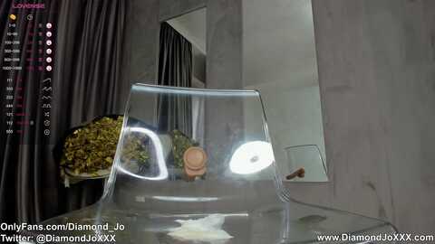 diamondjo_ @ myfreecams on 20231216