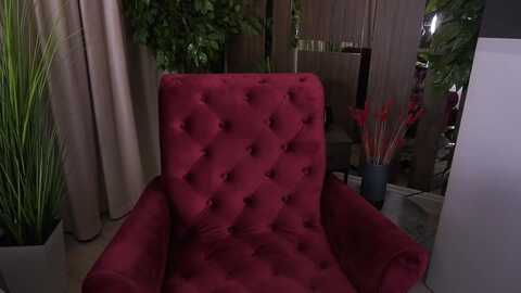 icedanielle @ myfreecams on 20231216