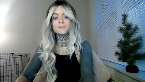 viverdure @ myfreecams on 20231217
