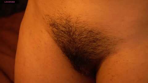 xdaphnemoss @ myfreecams on 20231217