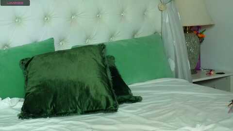 erikadawn @ myfreecams on 20231218