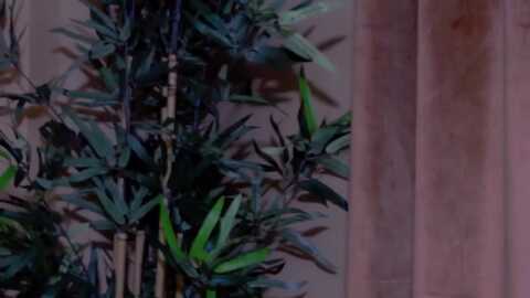 foreverchic @ myfreecams on 20231218