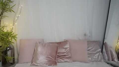 miss_reinat @ myfreecams on 20231218