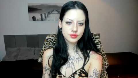 sapphhhire @ myfreecams on 20231219