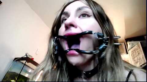 freaky_babes @ myfreecams on 20231220