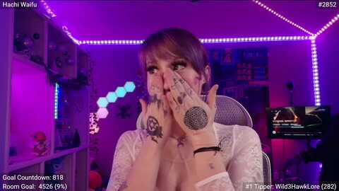 hachiwaifu @ myfreecams on 20231220