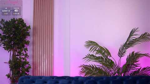 evakeen @ myfreecams on 20231221