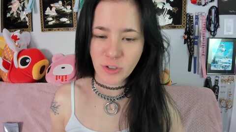 isabelle_babe @ myfreecams on 20231221