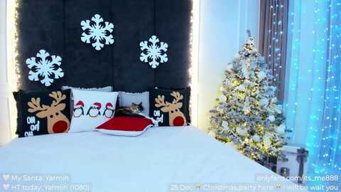 panamera_888 @ myfreecams on 20231221