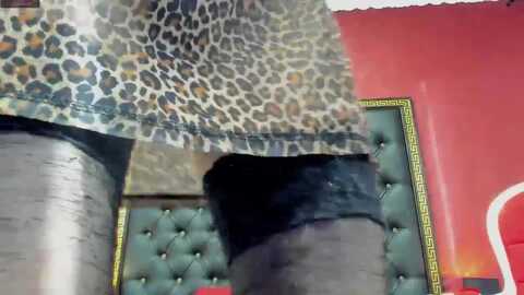 cougarcleo @ myfreecams on 20231222