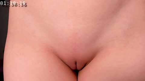 elysi_ @ myfreecams on 20231222