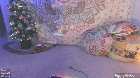 hippybabee @ myfreecams on 20231222