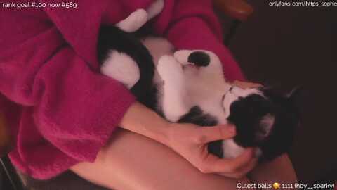 https_sophie @ myfreecams on 20231222