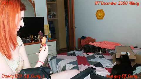 pumpkinspice @ myfreecams on 20231222